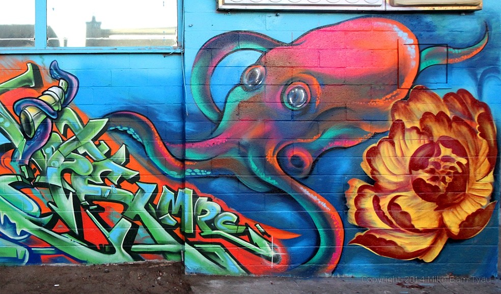 Tako